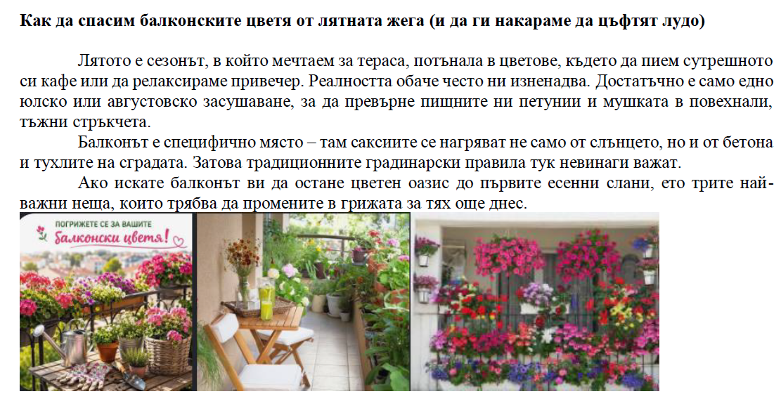 Как да спасим балконските цветя от лятната жега