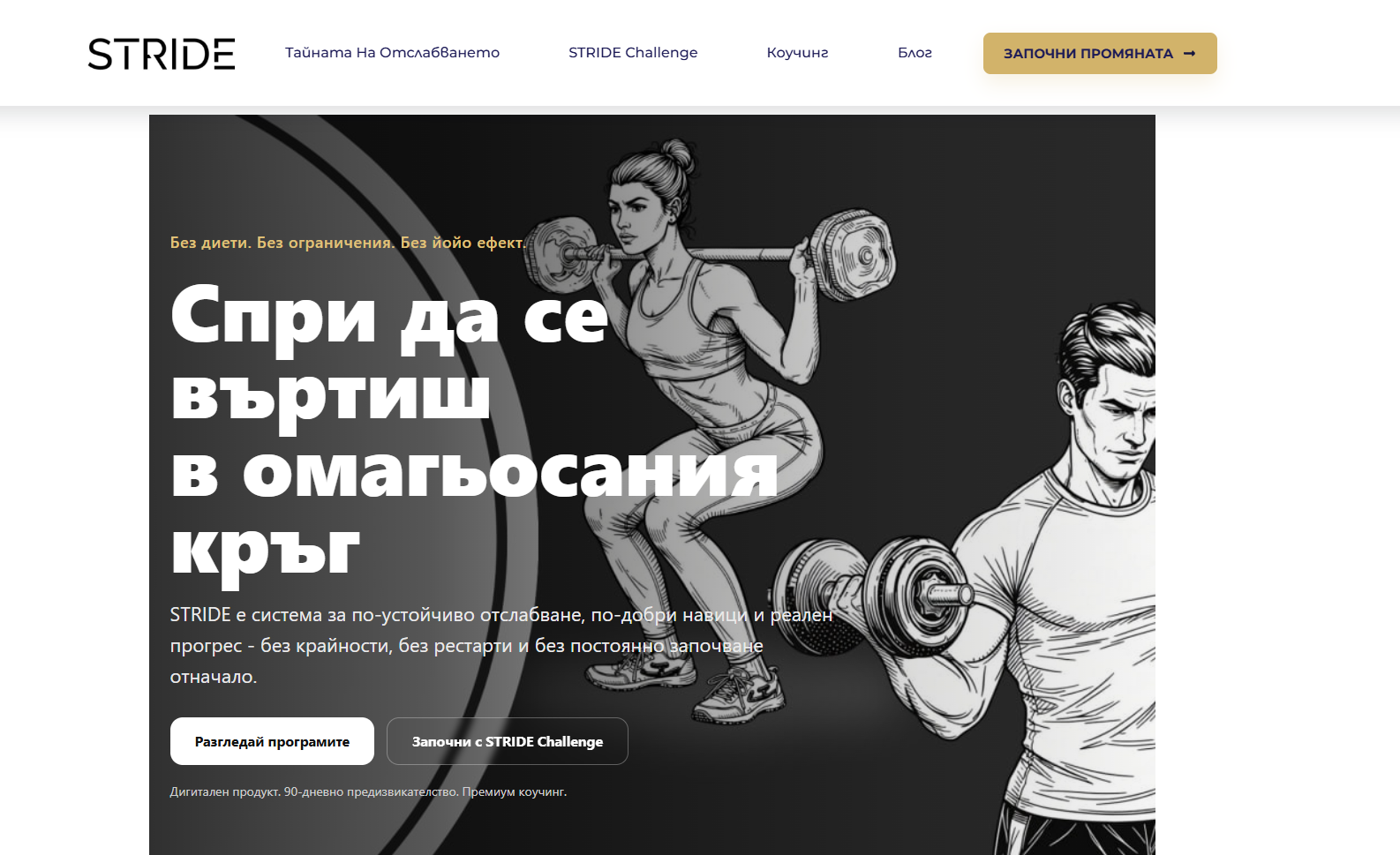 STRIDE – WordPress сайт и content optimization